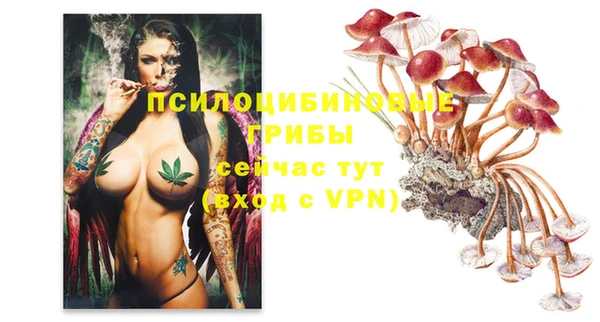 MESCALINE Мегион
